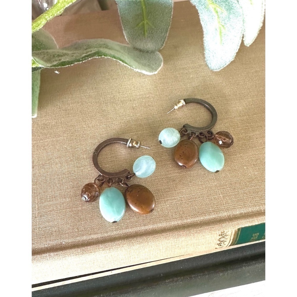 Blue and brown fashion earrings